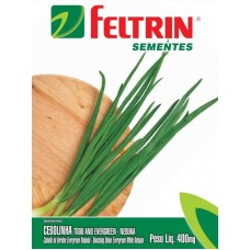 50287 - SEMENTE CEBOLINHA TODO ANO 25UN