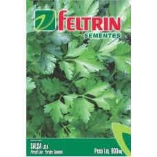 50294 - SEMENTE SALSA LISA 25UN