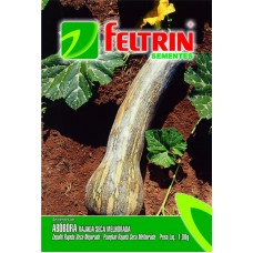 51049 - SEMENTE ABOBORA RAJADA SECA MELHORA 25UN