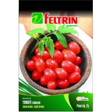 73842 - SEMENTE TOMATE CAROLINA 25UN