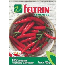 81626 - SEMENTE PIMENTA MALAGUETINHA 25UN