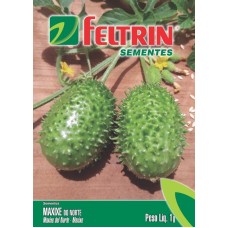 52455 - SEMENTE MAXIXE DO NORTE 25UN