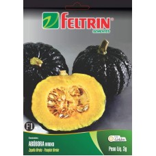 86063 - SEMENTE ABOBORA HIROKO 25UN