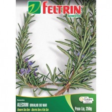 86491 - SEMENTE ALECRIM 20UN