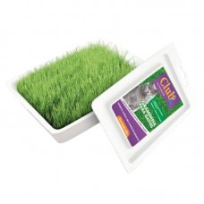 82714 - GRAMINHA P/GATOS 60G CLUB PET