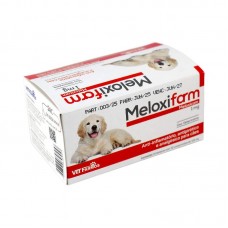 97915 - Anti-Inflamatório Meloxifarm Meloxicam 1mg l Display 6 Blisters com 10 Comprimidos