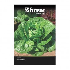 99911 - SEMENTES ALFACE ELISABETH