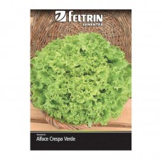 50265 - SEMENTE ALFACE MONICA C/25