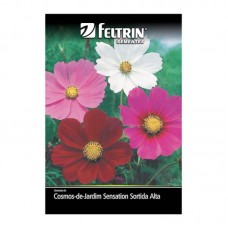 99904 - SEMENTE COSMOS DE JARDIM SORT ALTA C/20