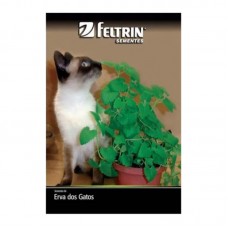 86500 - SEMENTE ERVA DOS GATOS C/20