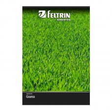 81619 - SEMENTE GRAMA-JESUITA SAO CARLOS C/25