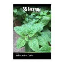 99902 - SEMENTE MELISSA ERVA CIDREIRA 