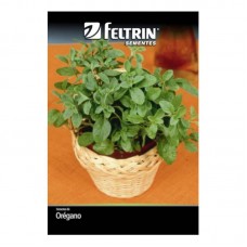 52472 - SEMENTE OREGANO C/20