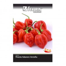 99917 - SEMENTES PIMENTA VALESCA C/20