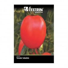 99919 - SEMENTES TOMATE BARTO C/20