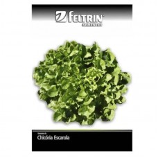 50288 - SEMENTE CHICORIA GIGANTE BARBARELA 25UN