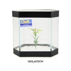 83124 - BETEIRA IPANEMA DECORADA CX C/6UN CLUB