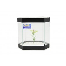 83126 - BETEIRA EDEN DECORADA CX C/6UN CLUB 