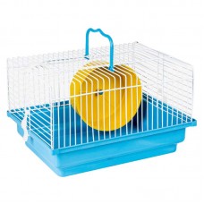 92158 - GAI ARAME BRASILEIRINHA HAMSTER AZ