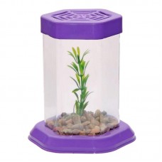 92548 - BETEIRA PLAST EUROPA SEXTAVA DECORADA