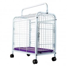 93764 - CX TRANSP ACO C/RODINHAS LEVA PET BR/LIL