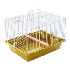 97520 - GAI TRANP/ P/ CALOPSITA AM PET