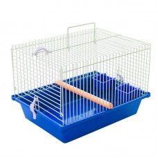 97521 - GAI ARAME TRANP/ P/ CALOPSITA AZ PET