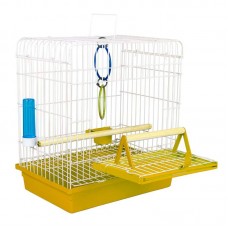 97642 - GAI ARAME CALOPSITA JUNIOR AM 